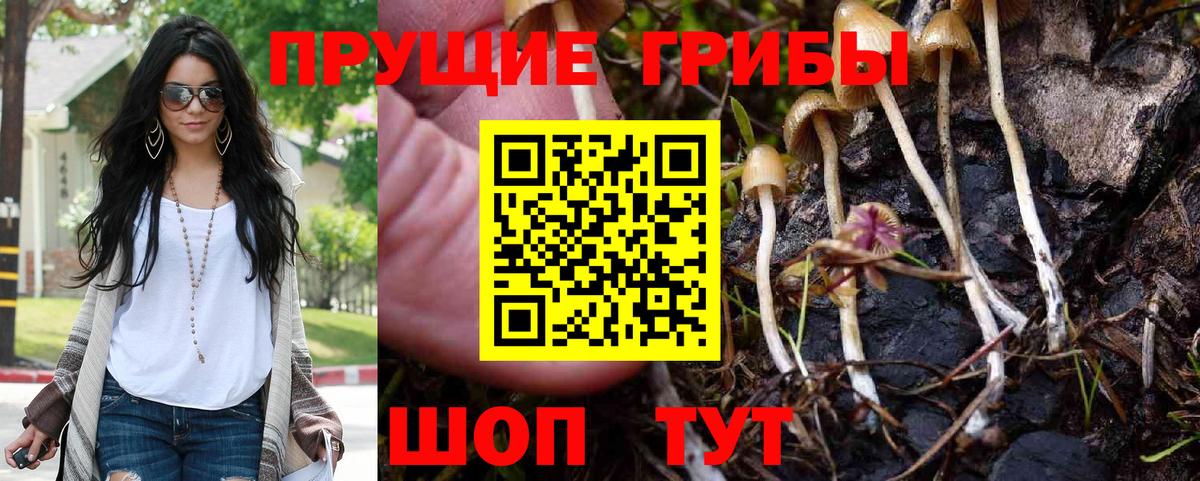 Псилоцибиновые грибы Magic Shrooms Видное